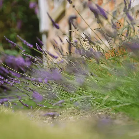 Little On The Yorkshire Wolds Σπίτι διακοπών Γιορκ